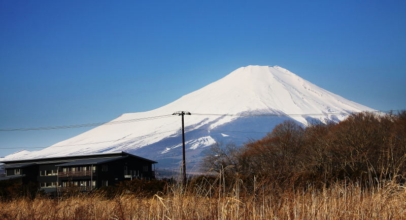 DPP_0008.JPG