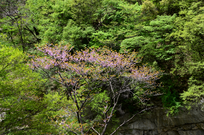 照片 086.jpg