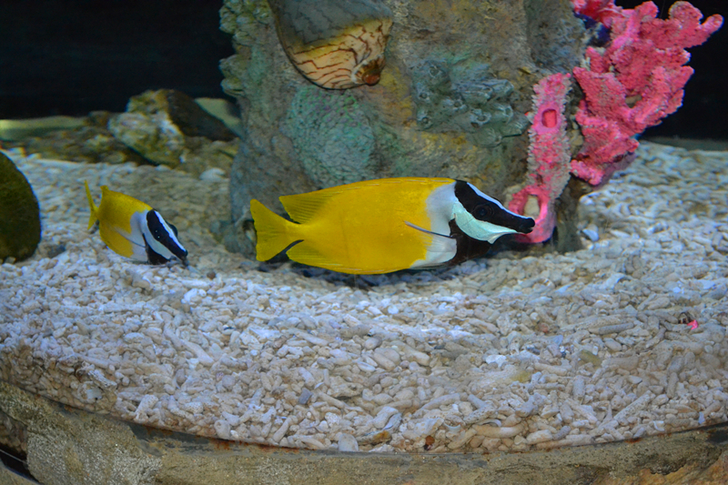 DSC_01811_副本.jpg