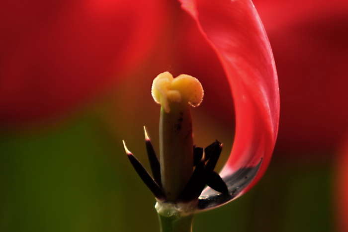 DPP_0013.JPG