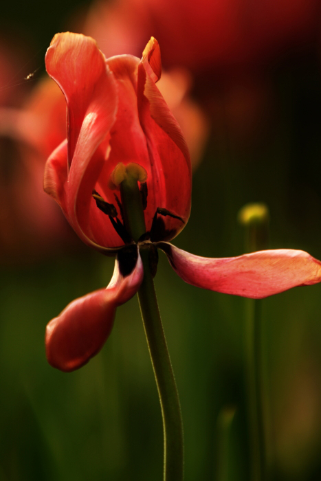 DPP_0020.jpg