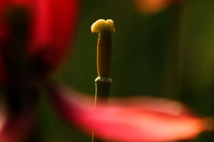 DPP_0032.jpg