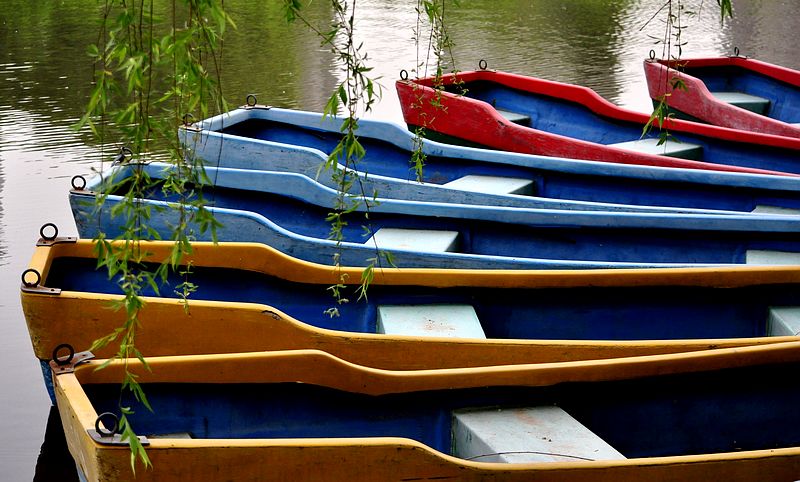 DSC_0003.jpg
