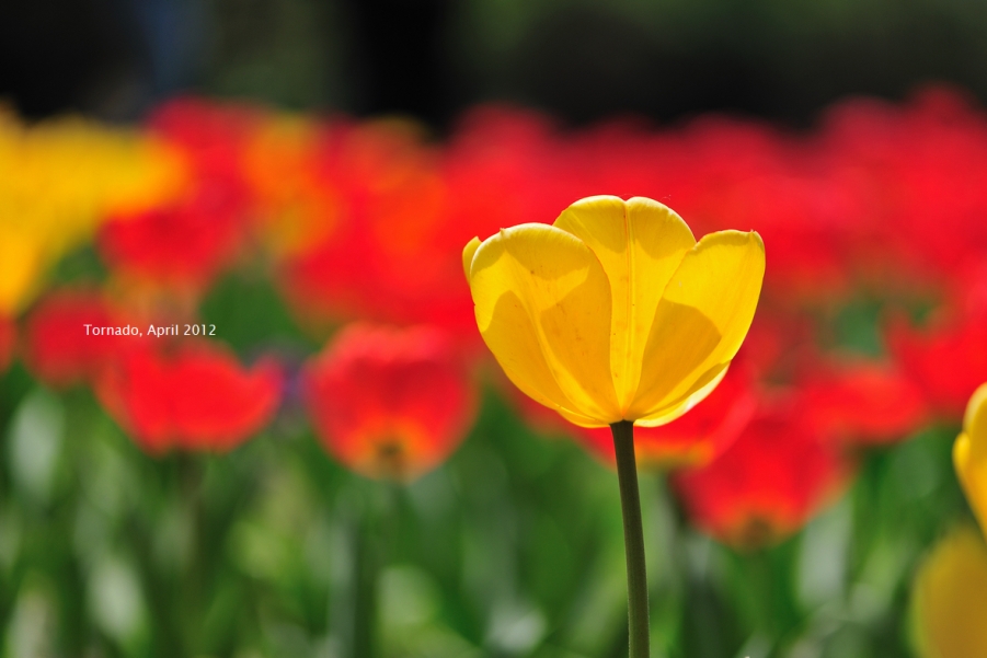 DSC_3797.jpg