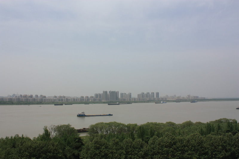 IMG_4774.jpg