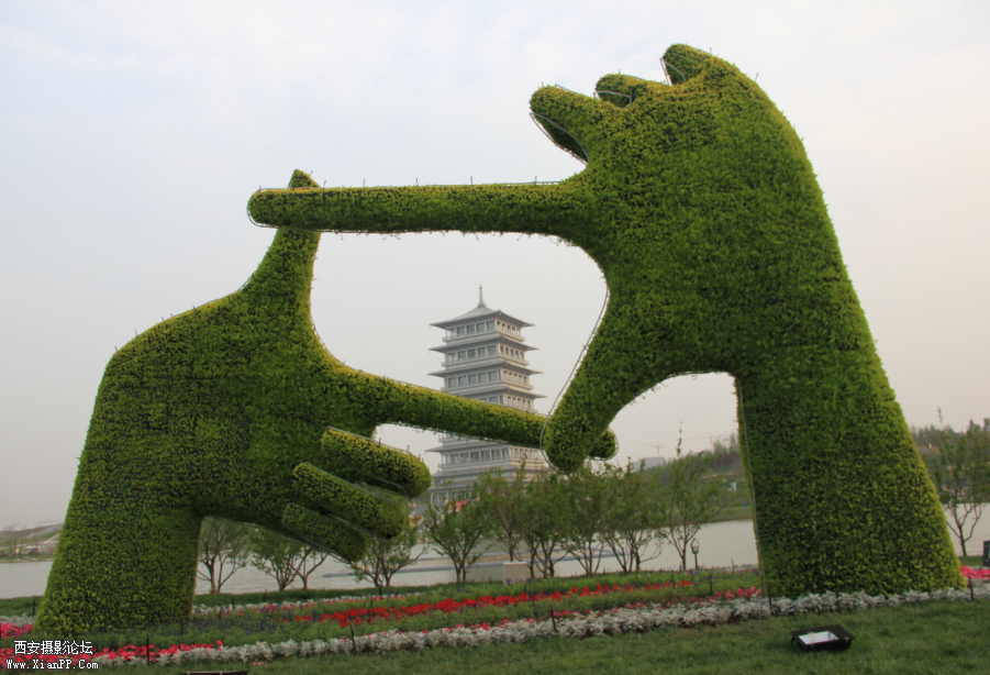 QQ截图20120430202836.png