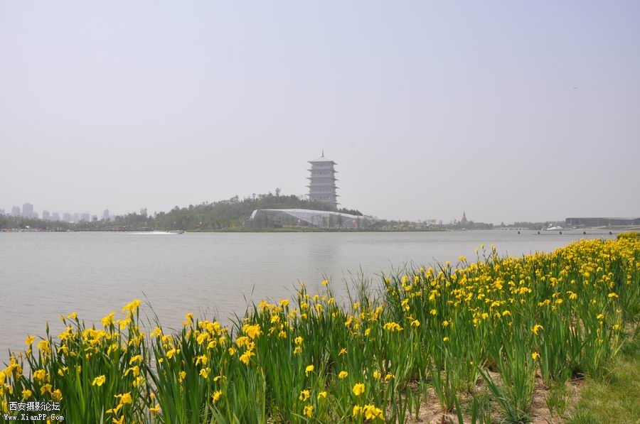 调整大小 DSC_0150.JPG