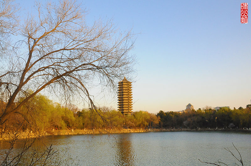 未名湖畔.jpg