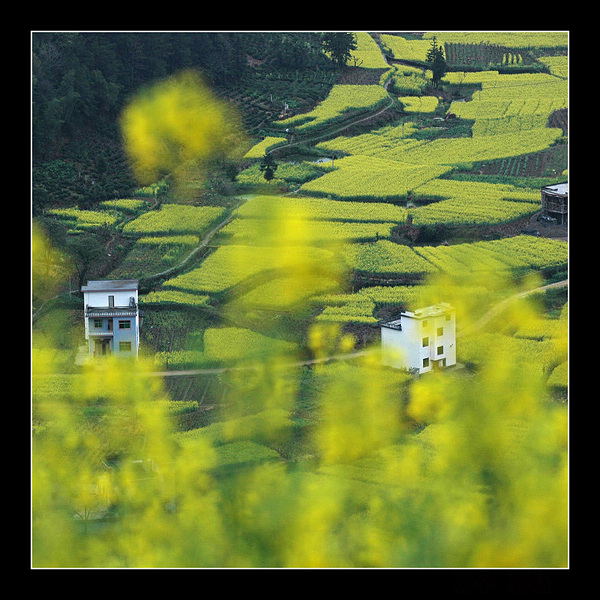 新农村.jpg