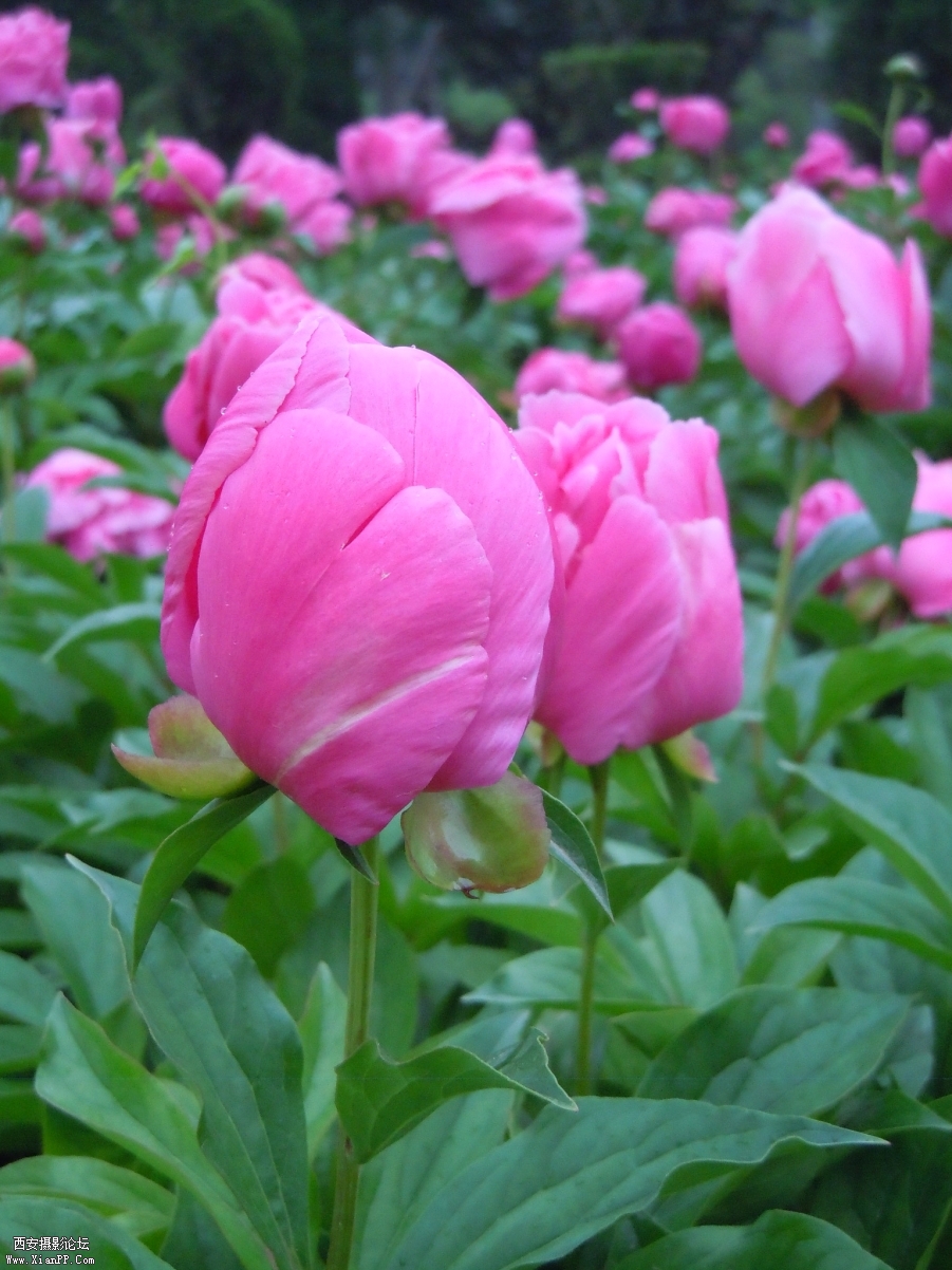 照片 023.jpg