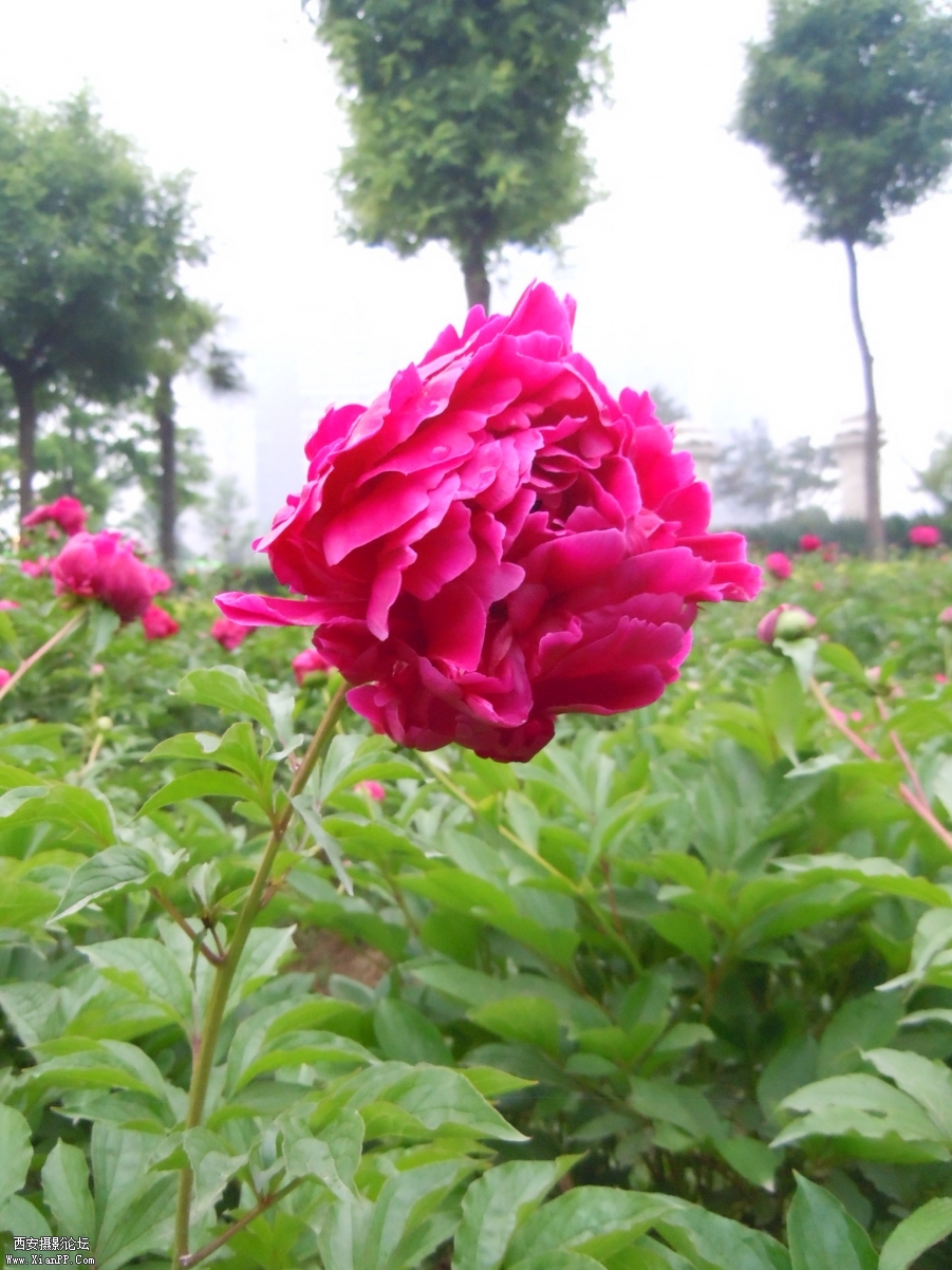 照片 323.jpg