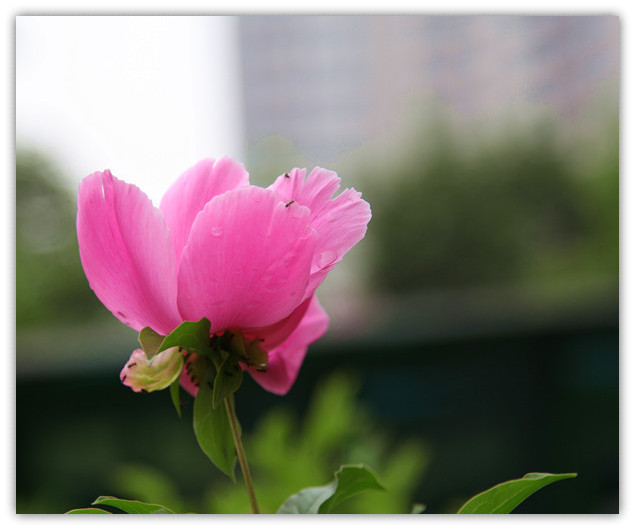 img_0930_副本_副本.jpg