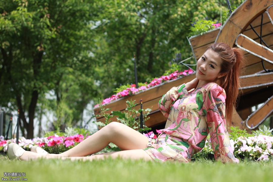 DPP_011438.JPG