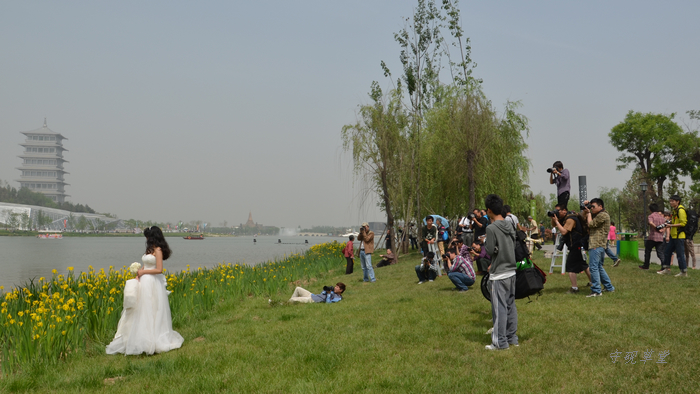 DSC_0107.jpg