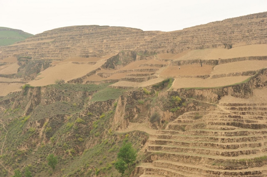 ZCH_3682.JPG