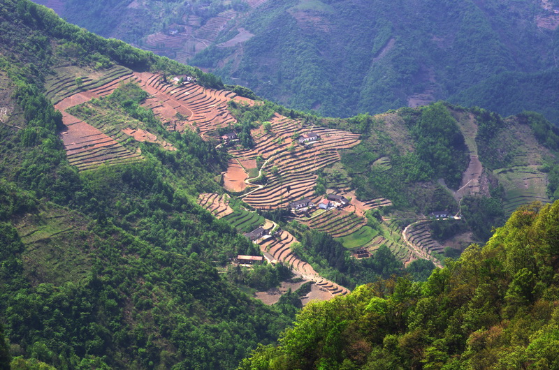 塔云山梯田