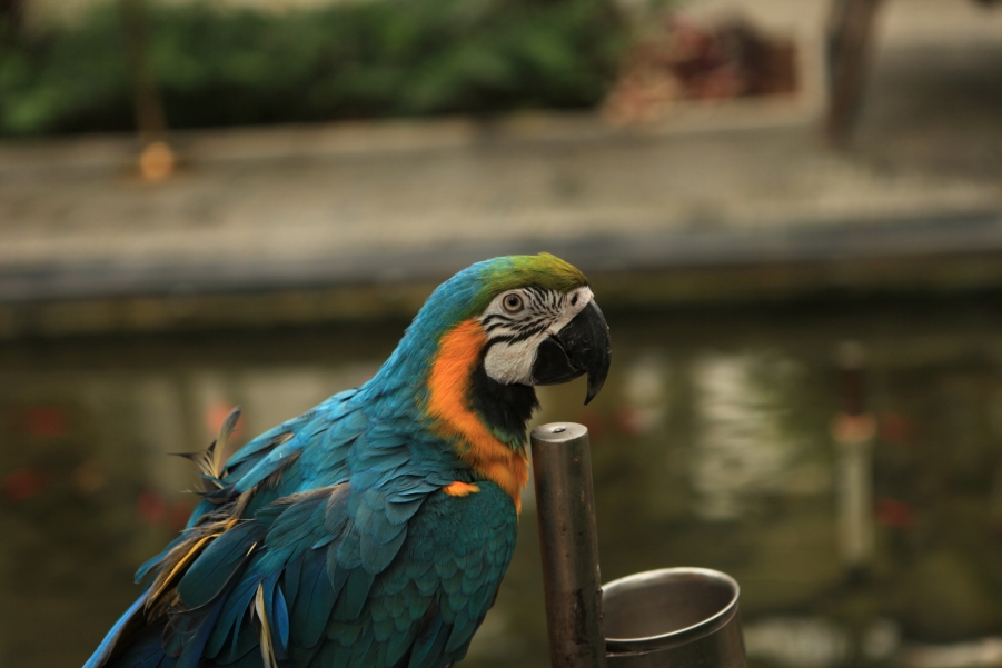 IMG_2832.JPG