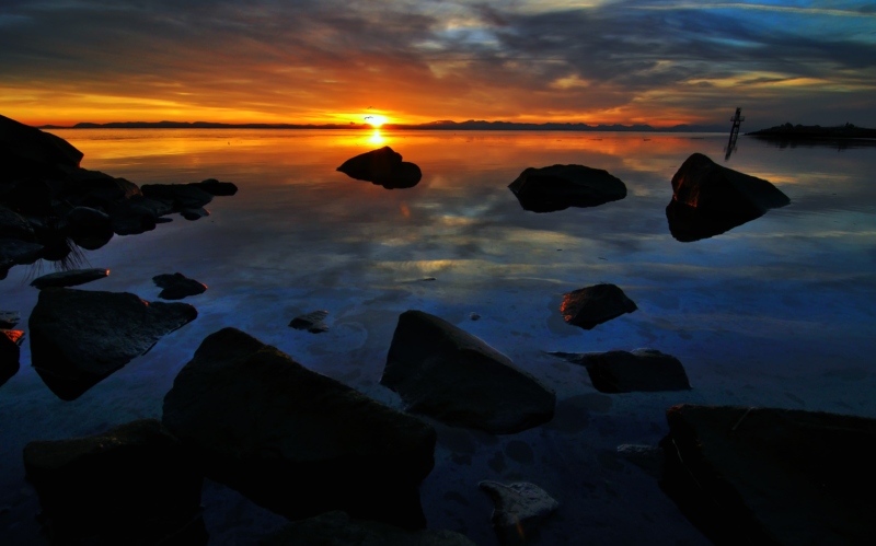 09362197q9wt556ajnekyn.jpg