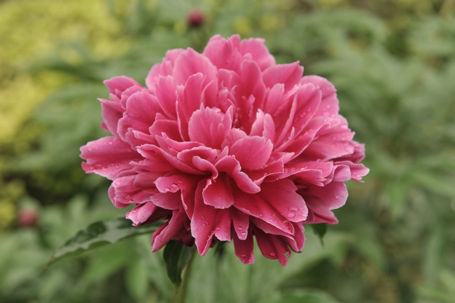 DSC_6997.jpg