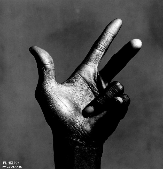 The-Hand-of-Miles-Davis-673x701.jpg