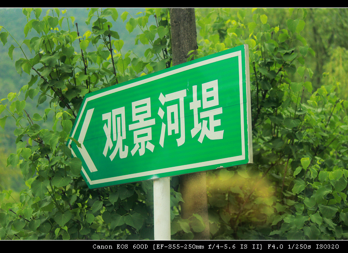 nEO_IMG_照片 949.jpg