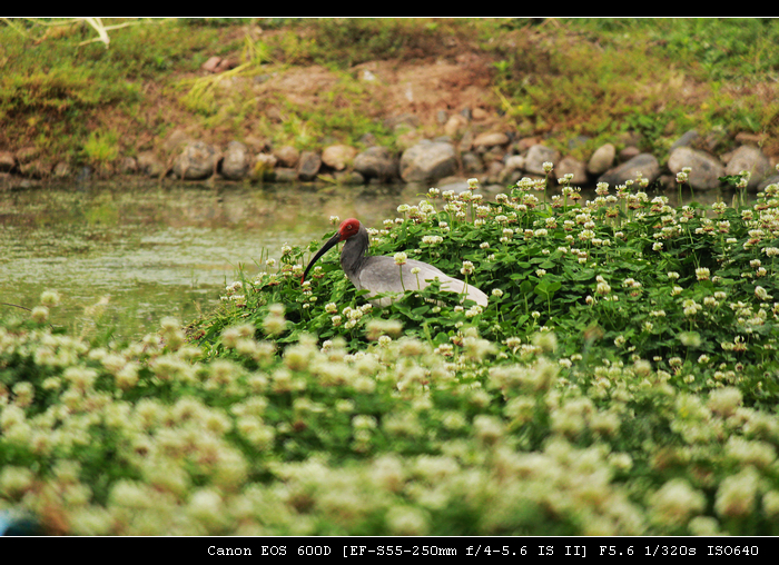 nEO_IMG_照片 511.jpg