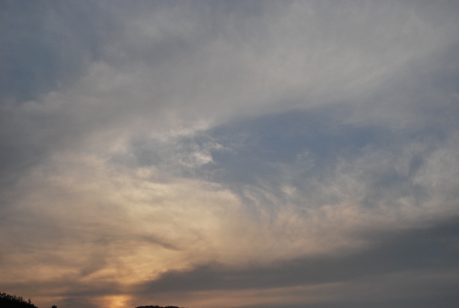 DSC_1382.JPG