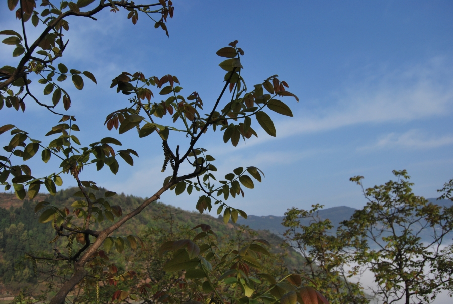 DSC_1353.JPG