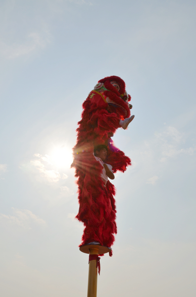 DSC_0295.jpg
