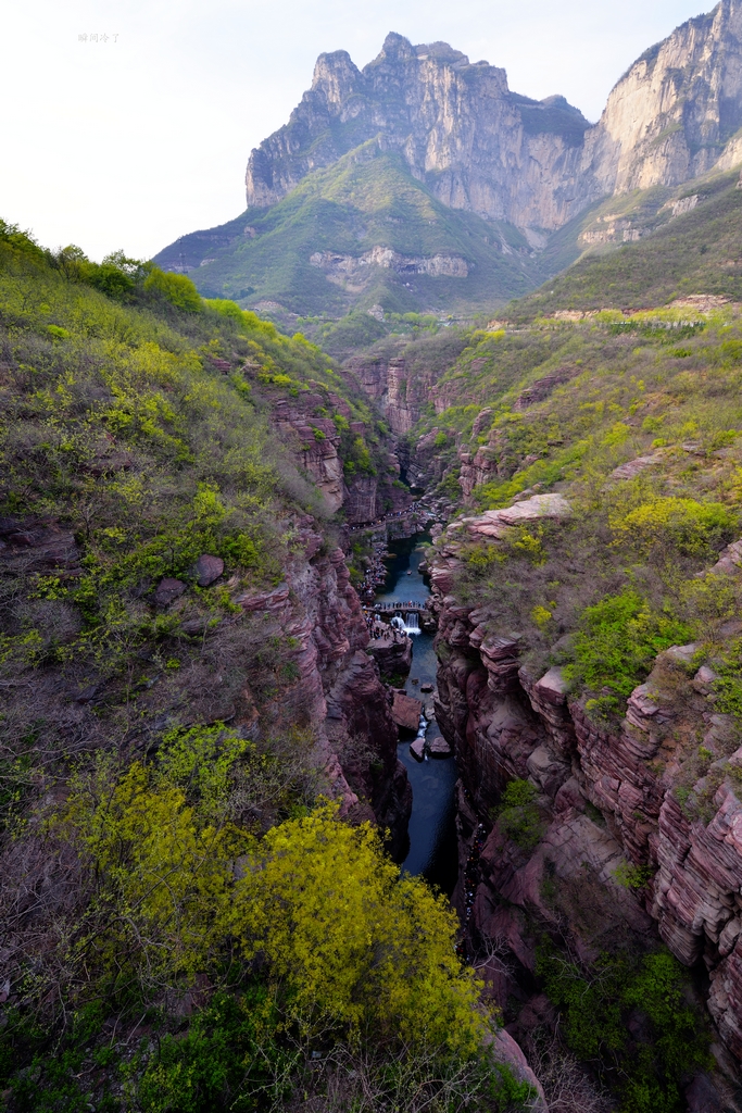 DSC_0710.jpg