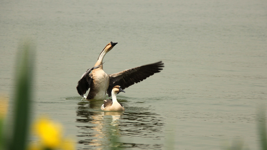 IMG_1067_副本.jpg