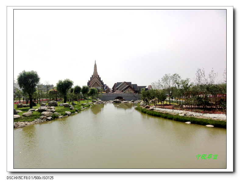 DSC01189.jpg