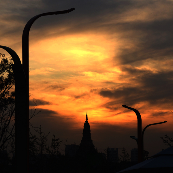 DSC_0225.jpg
