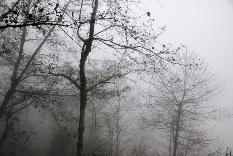 _DSC0337.jpg