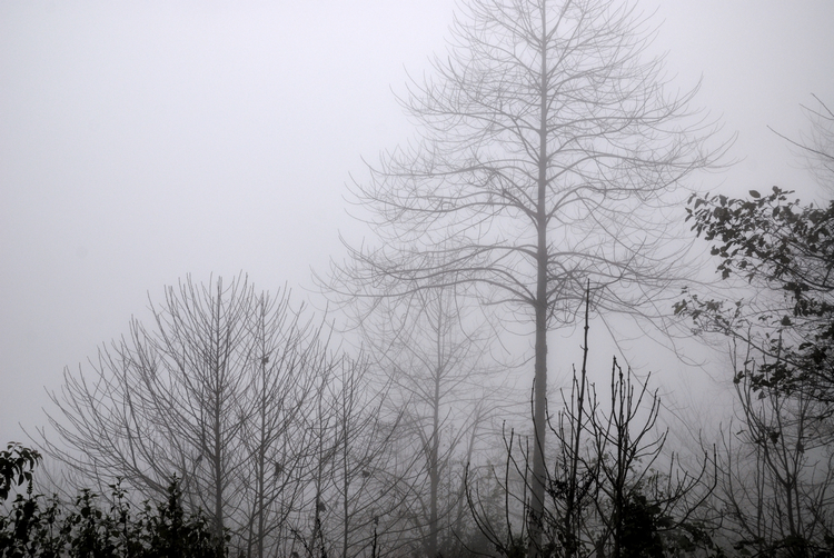 _DSC0339.jpg