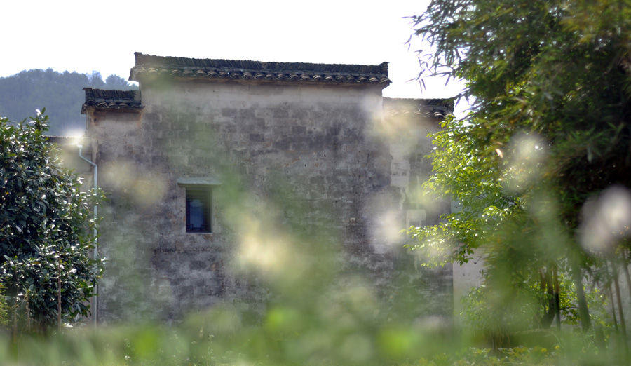 DSC_0341.jpg
