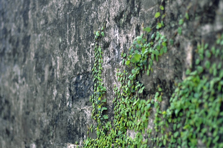 DSC_0343.jpg