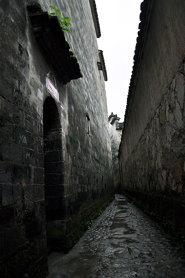 DSC_0425.jpg