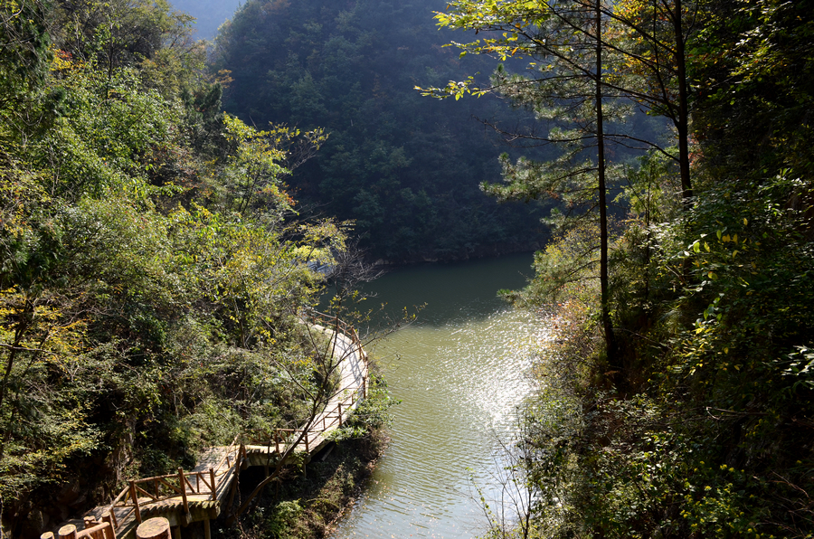 DSC_0722.jpg