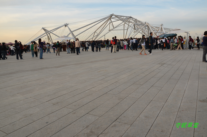 DSC_0186.jpg