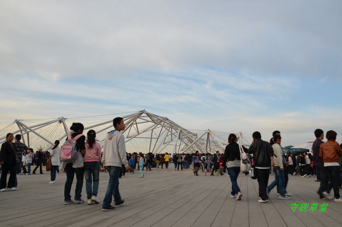DSC_0174.jpg
