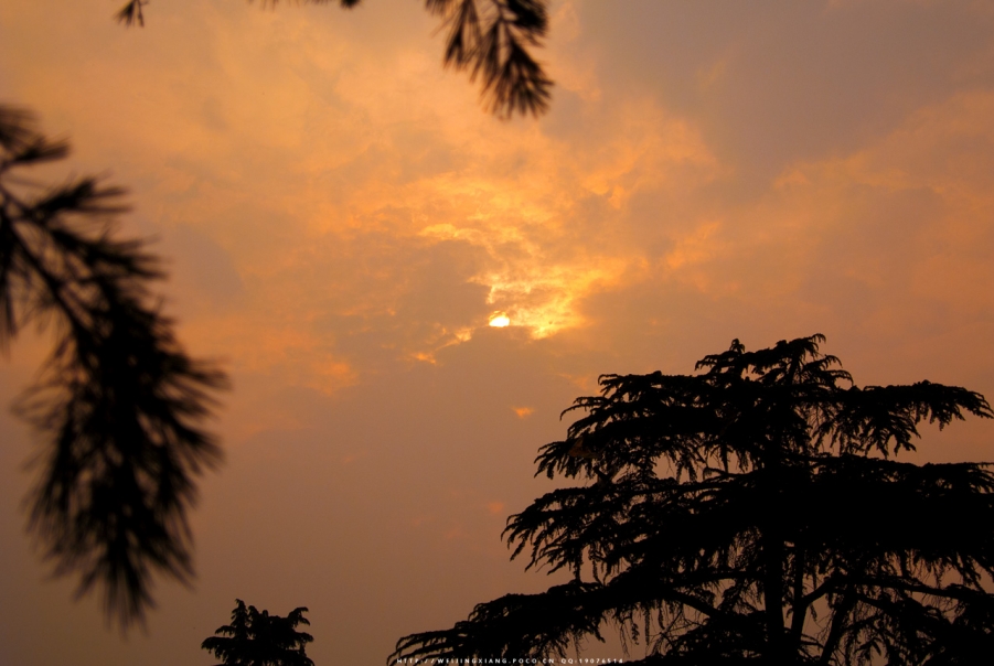 DSC_0904.JPG