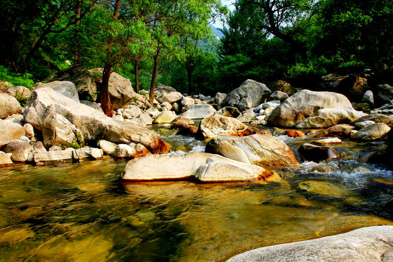 大峪与芍药 007.jpg