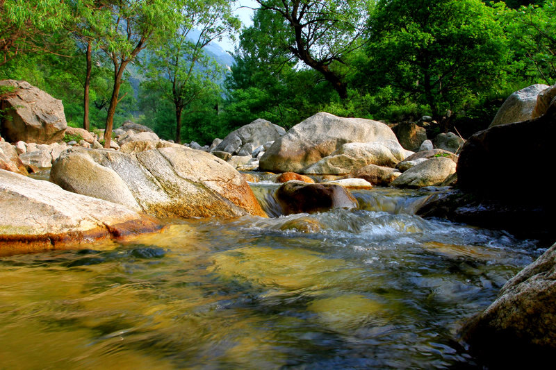 大峪与芍药 017.jpg