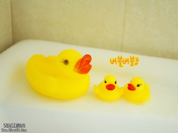 img1_src_5658930.jpg