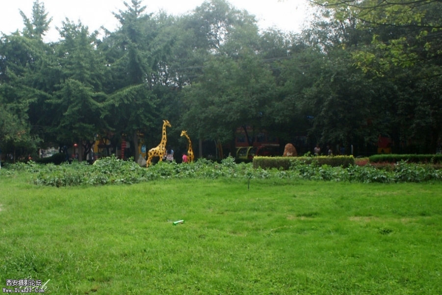 img1_src_3885779.jpg