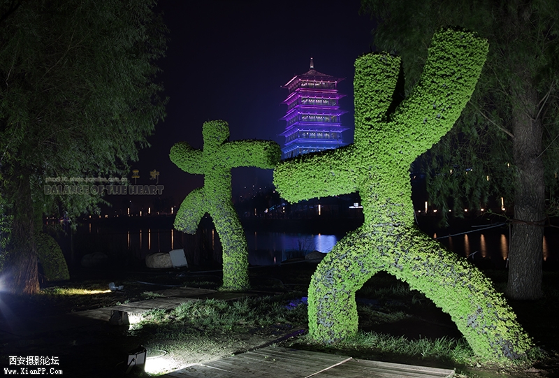 植物雕塑