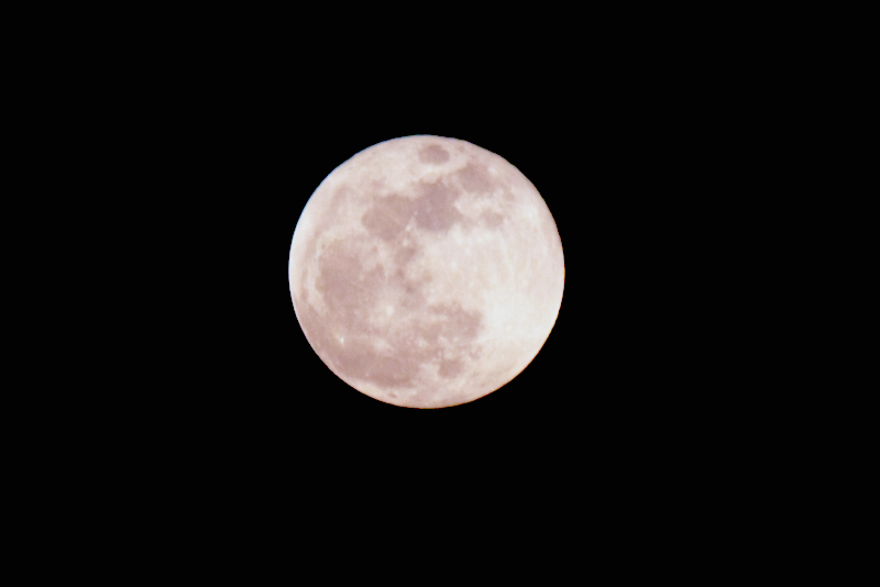 IMG_4643.jpg