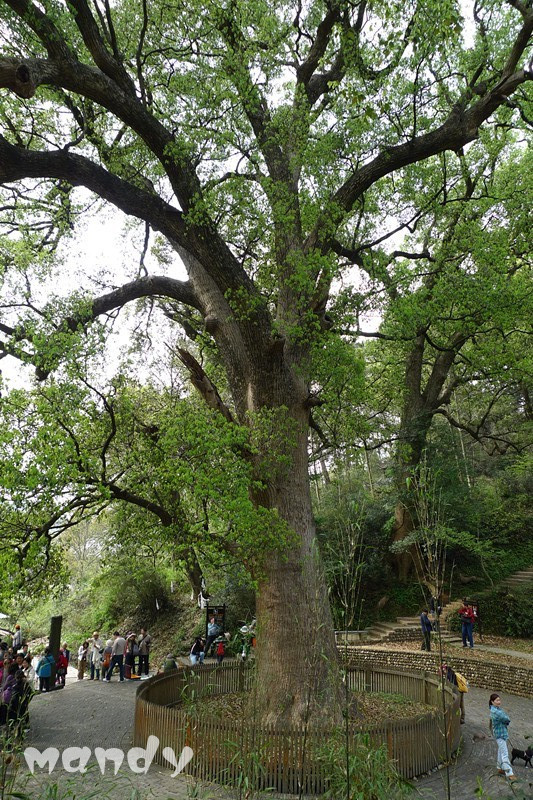 P1010762.JPG