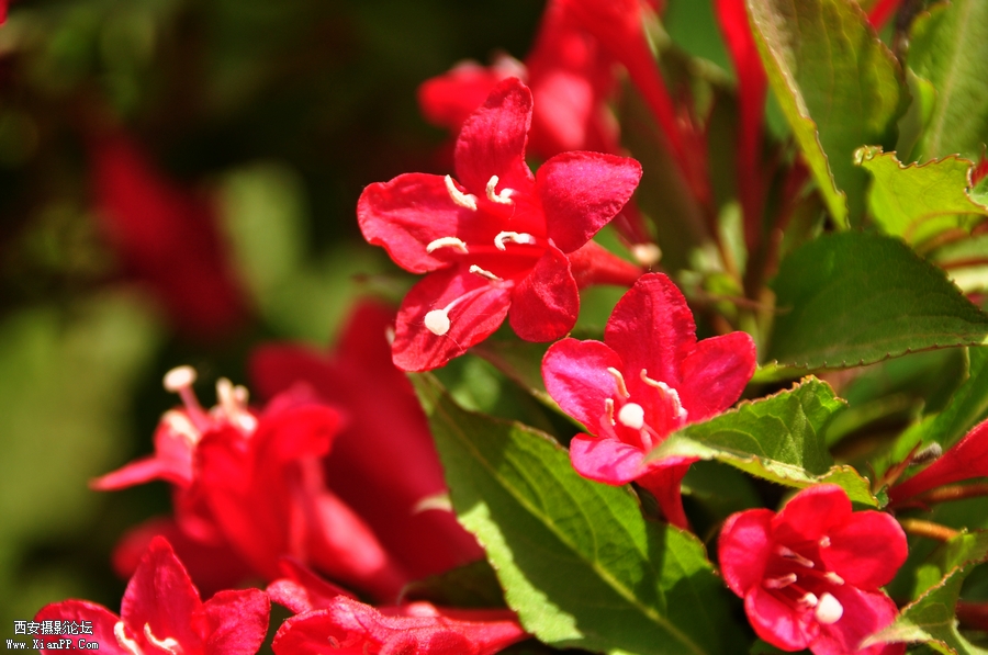 DSC_6929.JPG